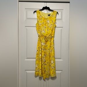 NWOT- plus size dress